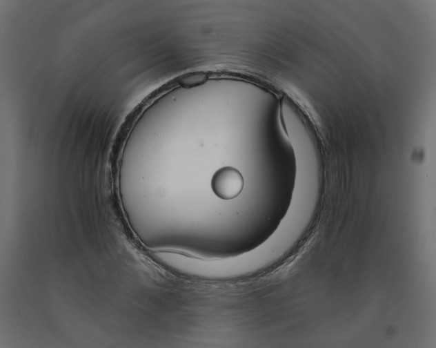 X0000091860876200710031659