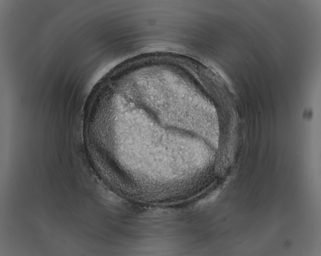 X0000091860877200710031659