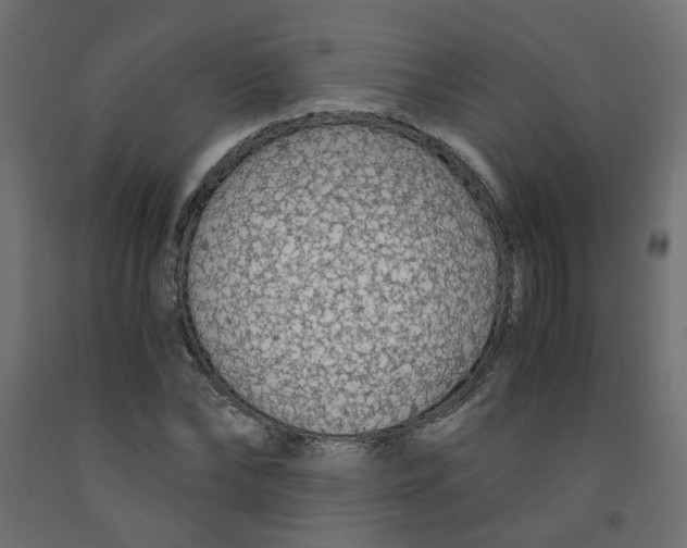 X0000091860878200710031659