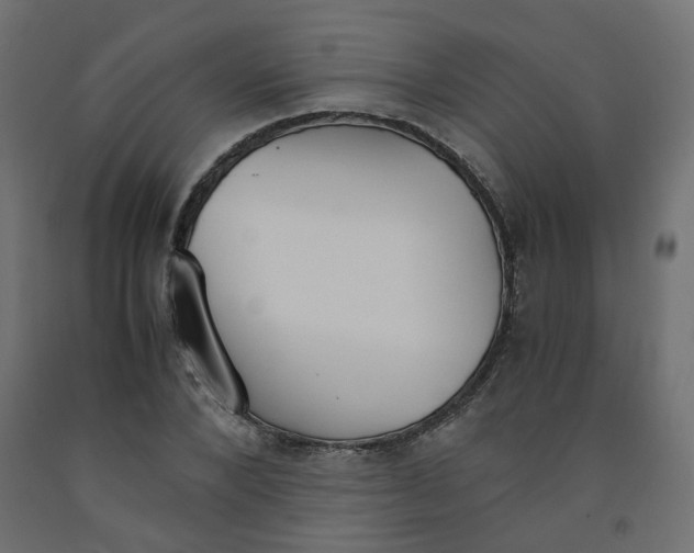 X0000091860880200710031659