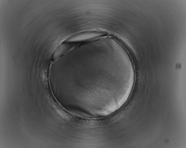 X0000091860881200710031659