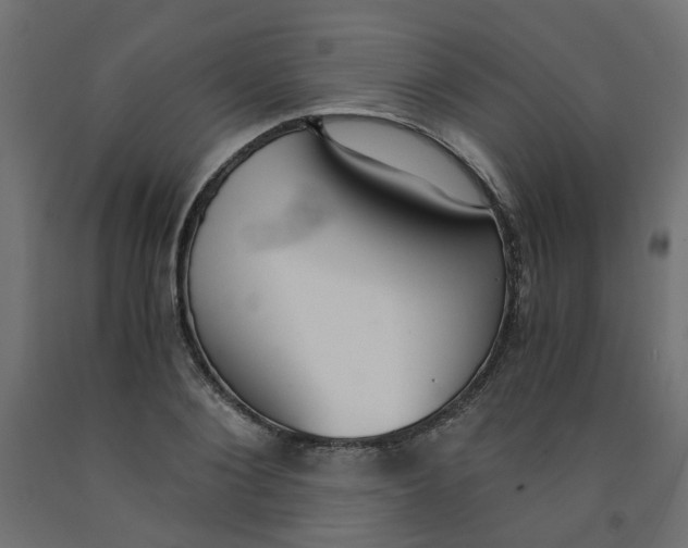 X0000091860884200710031659