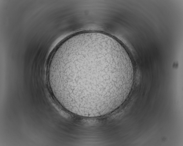 X0000091860886200710031659