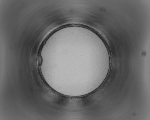 X0000091860887200710031659