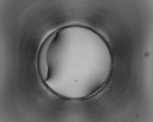 X0000091860888200710031659