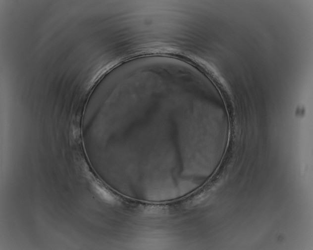 X0000091860889200710031659