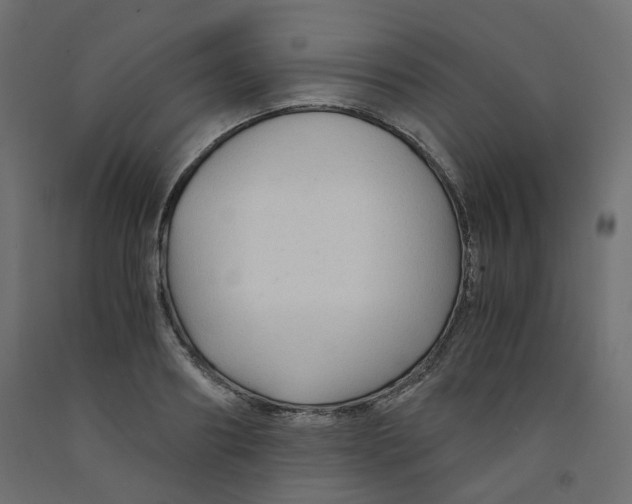 X0000091860890200710031659