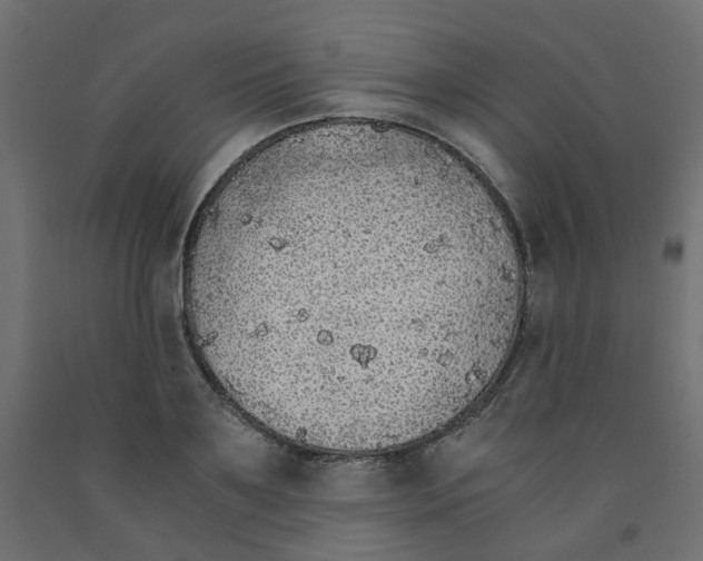 X0000091860891200710031659