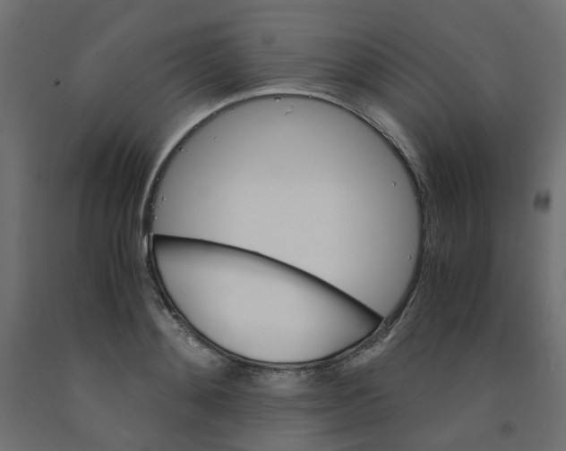 X0000091860892200710031659