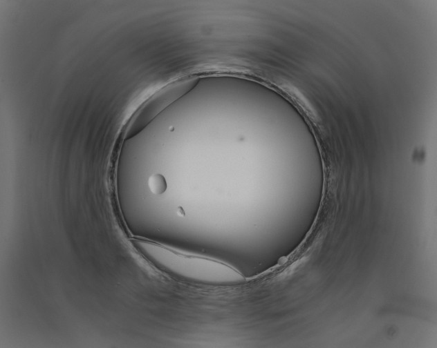 X0000091860893200710031659