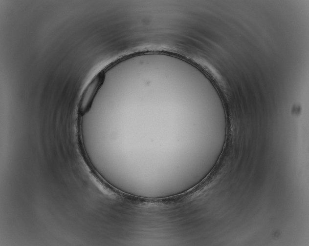 X0000091860894200710031659