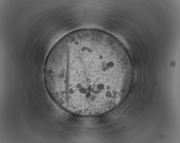 X0000091860895200710031659