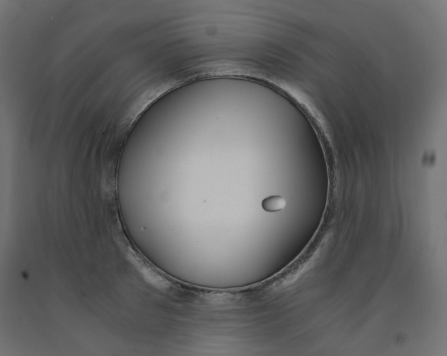 X0000091860897200710031659