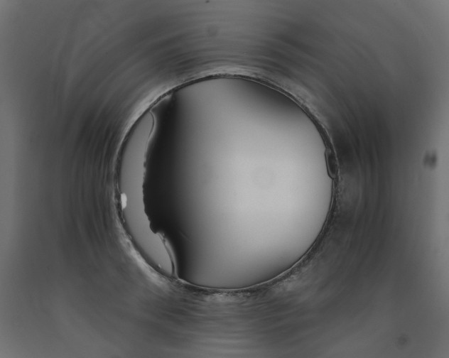 X0000091860898200710031659