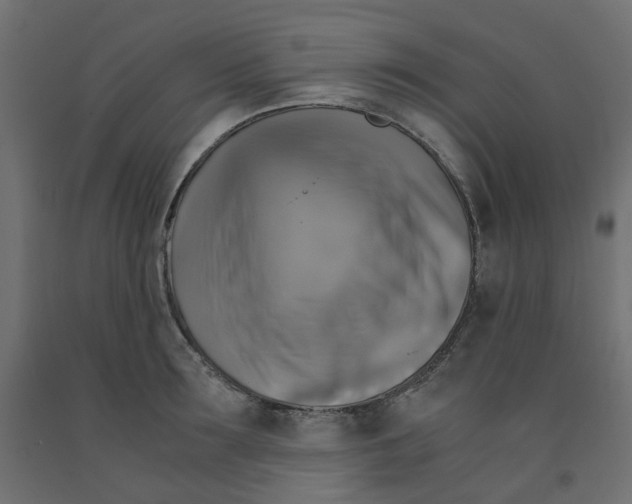 X0000091860899200710031659