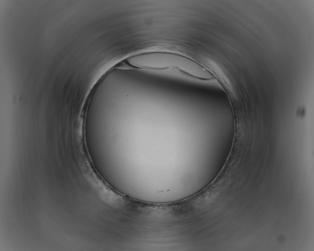 X0000091860900200710031659