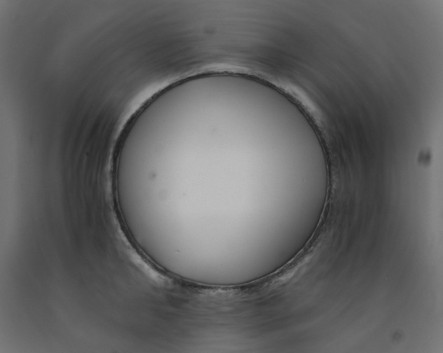 X0000091860902200710031659