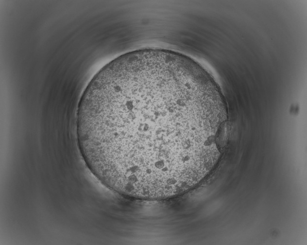 X0000091860903200710031659