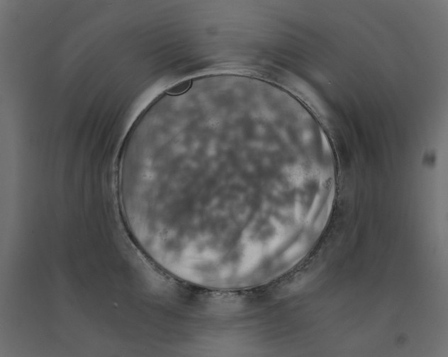 X0000091860907200710031659