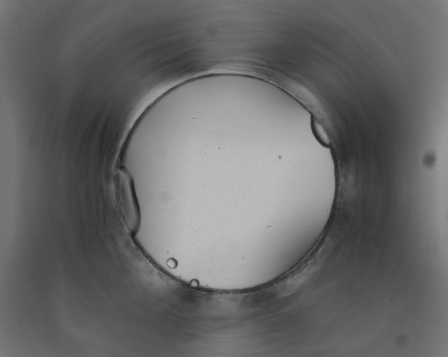 X0000091860908200710031659