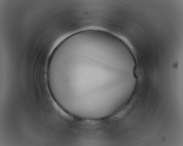 X0000091860910200710031659