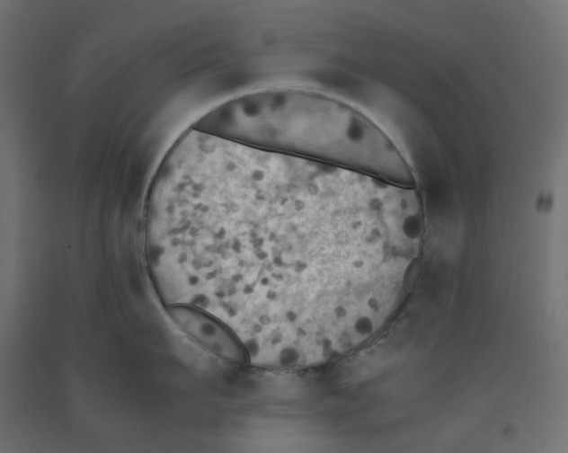 X0000091860911200710031659