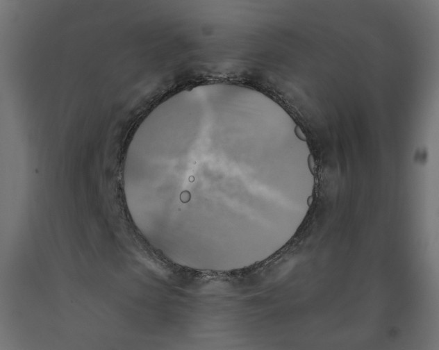 X0000091860913200710031658