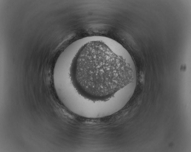 X0000091860915200710031658