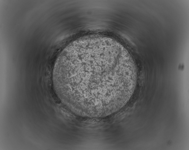 X0000091860917200710031658