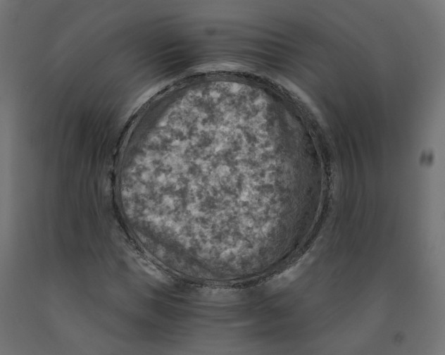 X0000091860921200710031658