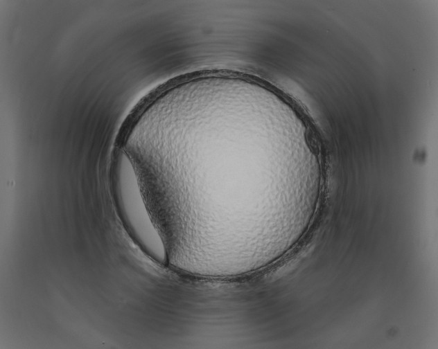 X0000091860924200710031658