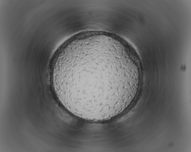 X0000091860925200710031658