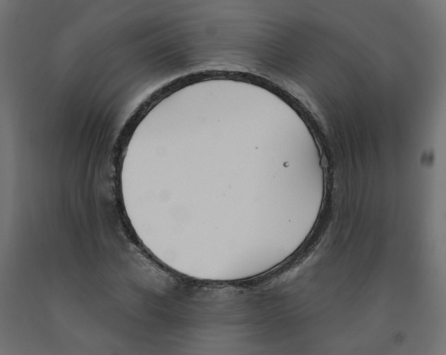 X0000091860926200710031658