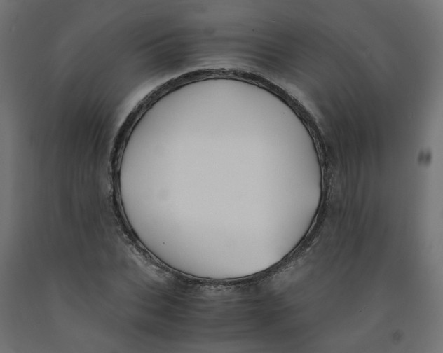 X0000091860927200710031658