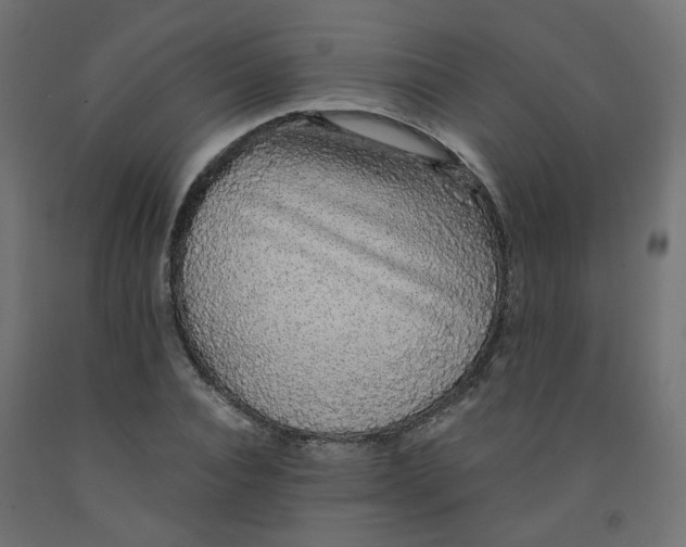 X0000091860928200710031658