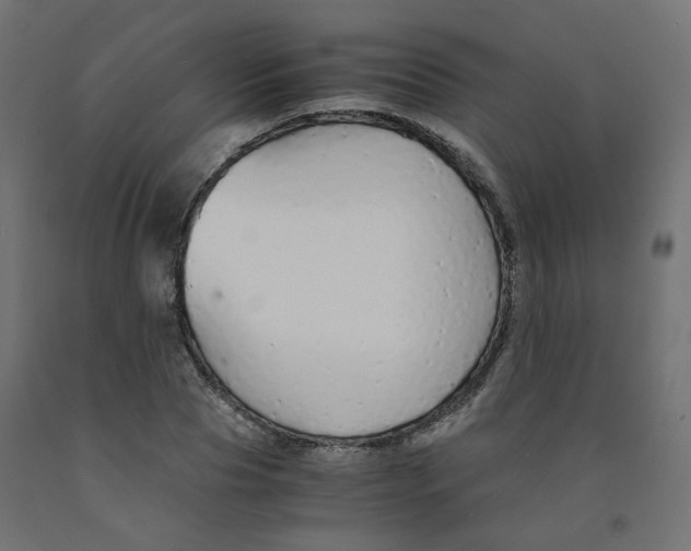 X0000091860929200710031658