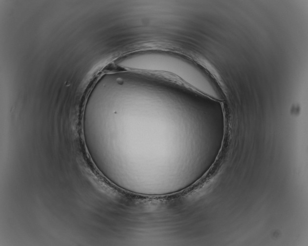 X0000091860930200710031658