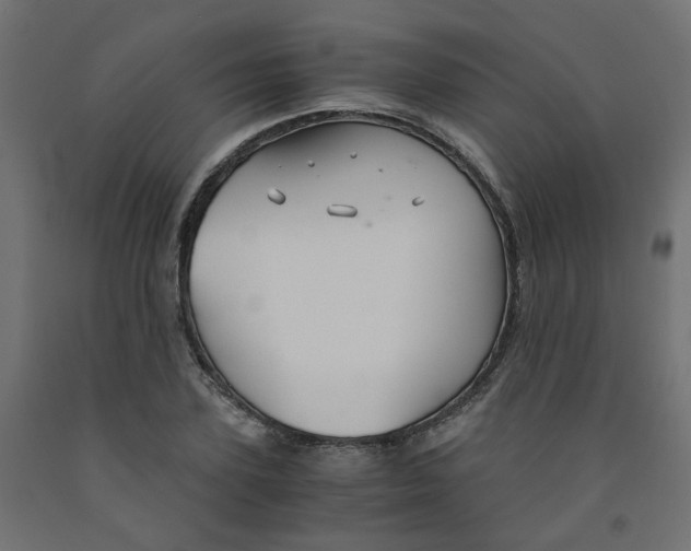 X0000091860931200710031658