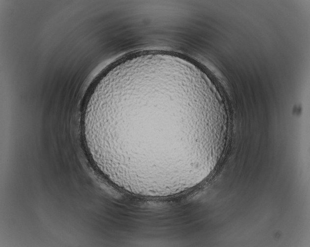 X0000091860933200710031658