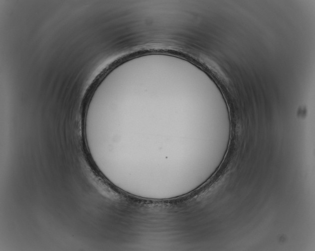 X0000091860934200710031658