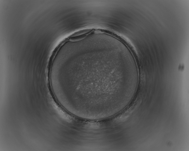 X0000091860935200710031658