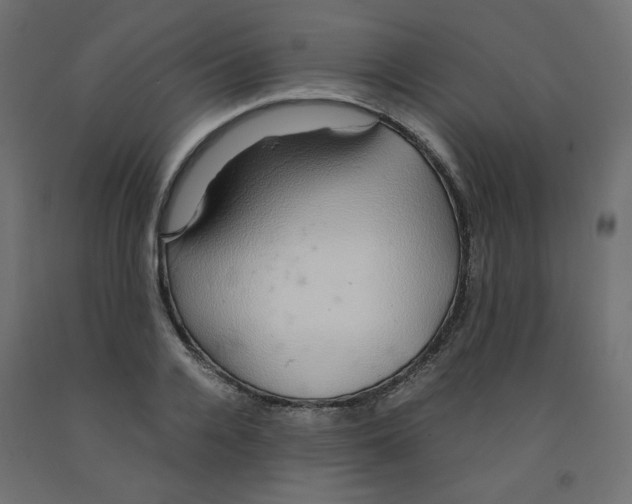 X0000091860936200710031658