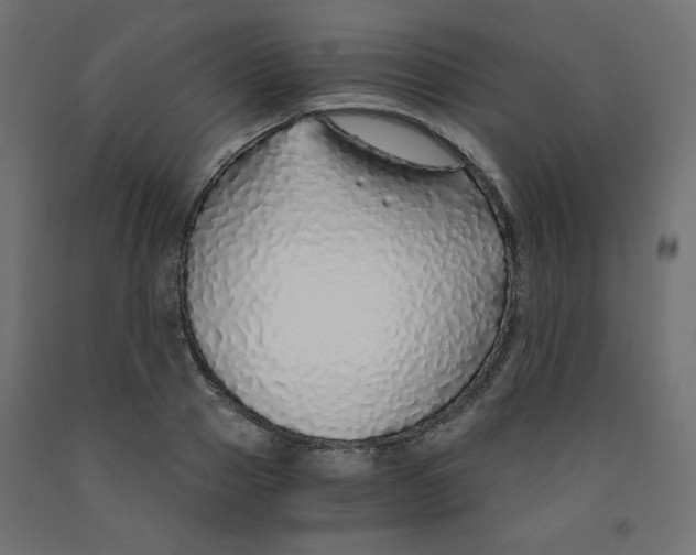 X0000091860937200710031658