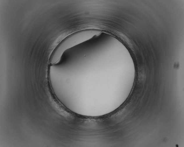 X0000091860938200710031658