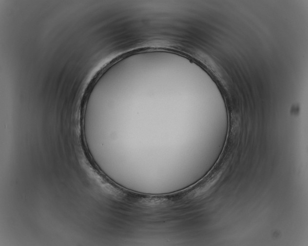 X0000091860939200710031658