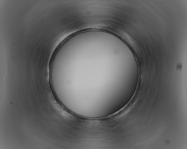 X0000091860940200710031658