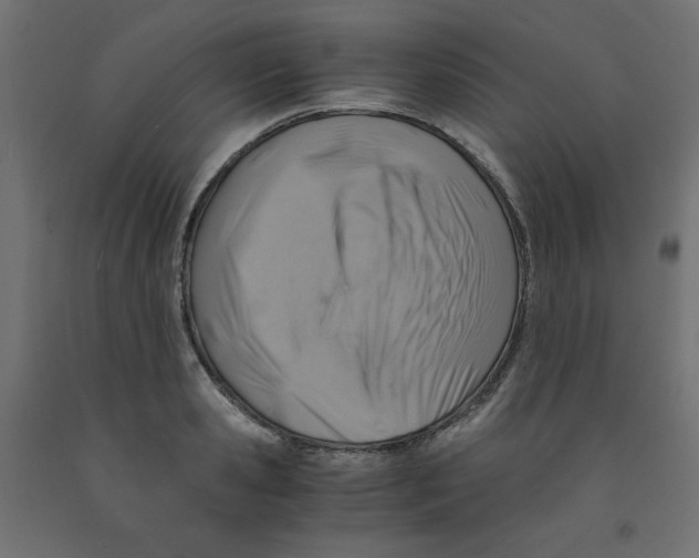 X0000091860941200710031658