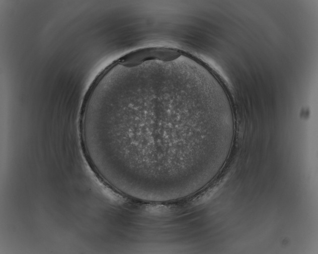 X0000091860943200710031658