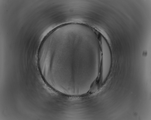 X0000091860944200710031658