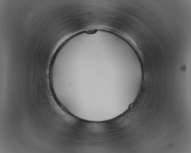 X0000091860947200710031658